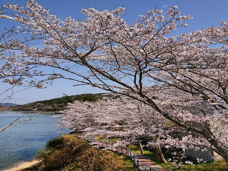 Hakuryuko Resort image