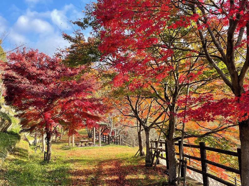 Hakuryuko Resort image