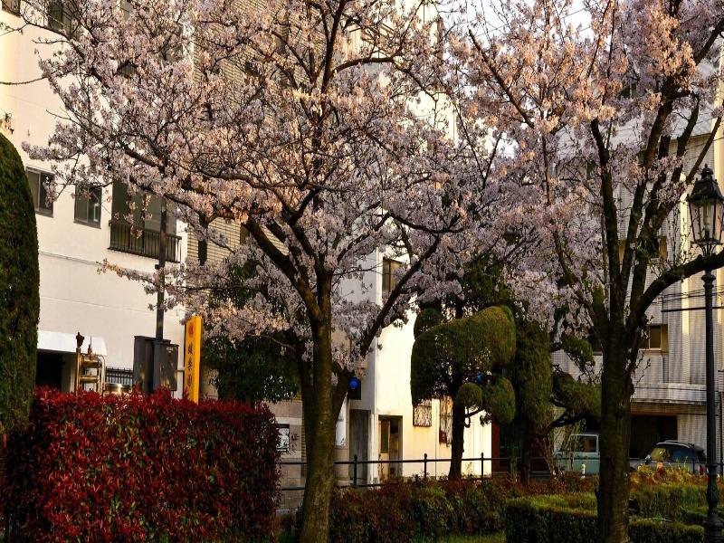 Himerakuen image
