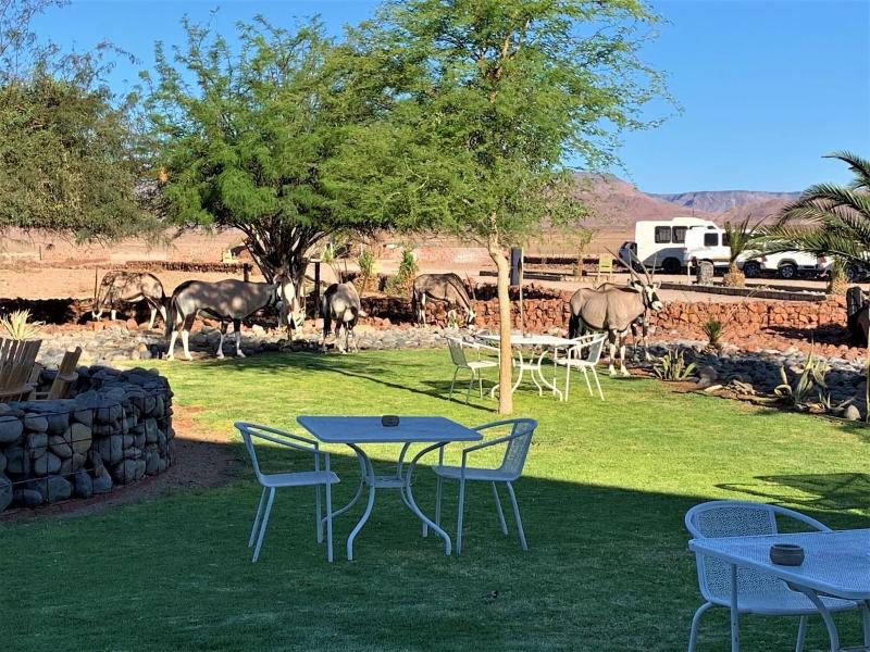 Elegant Desert Lodge image