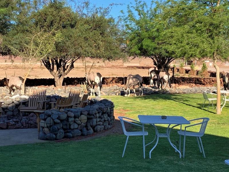 Elegant Desert Lodge — general view