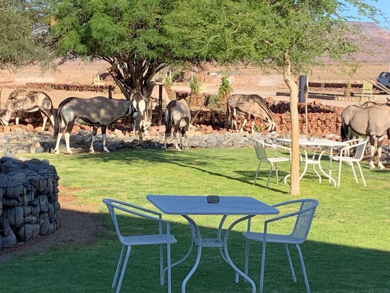 Elegant Desert Lodge image