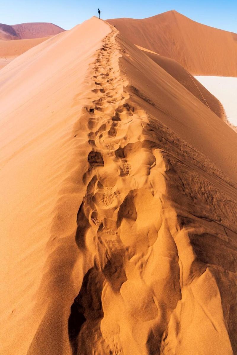 Elegant Desert Lodge image