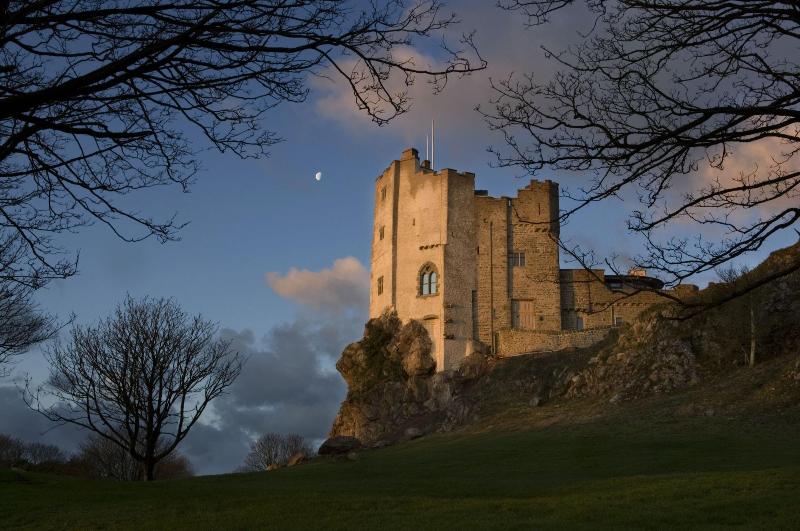 Roch Castle Hotel image