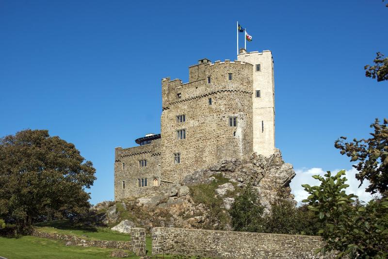Roch Castle Hotel image