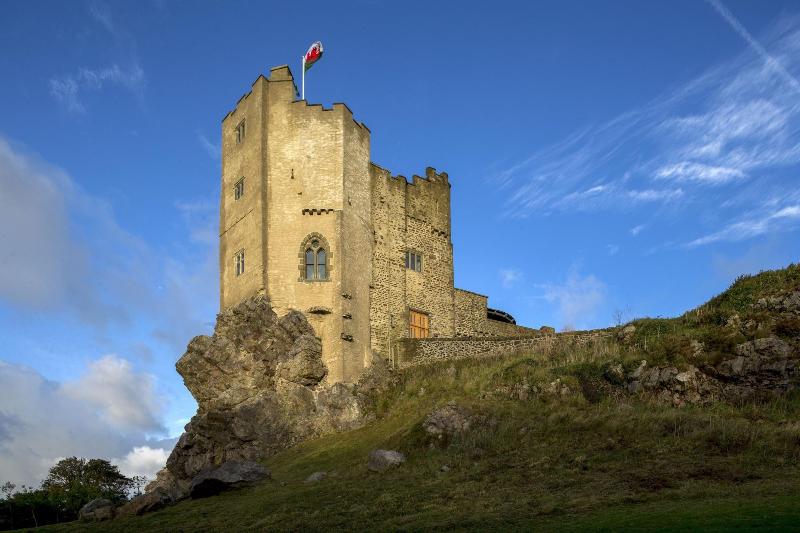 Roch Castle Hotel image