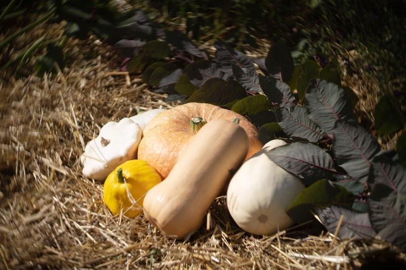 Le Jardin Des 4 Saisons image