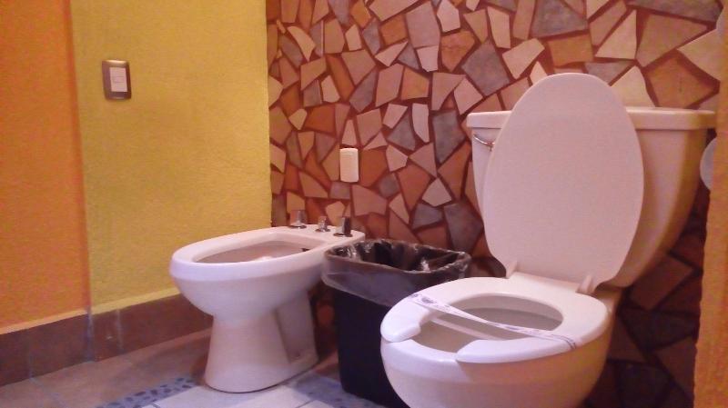 Hotel Real Azteca image
