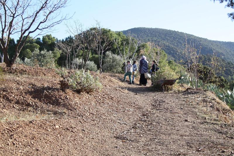 Le Domaine D Amanar image