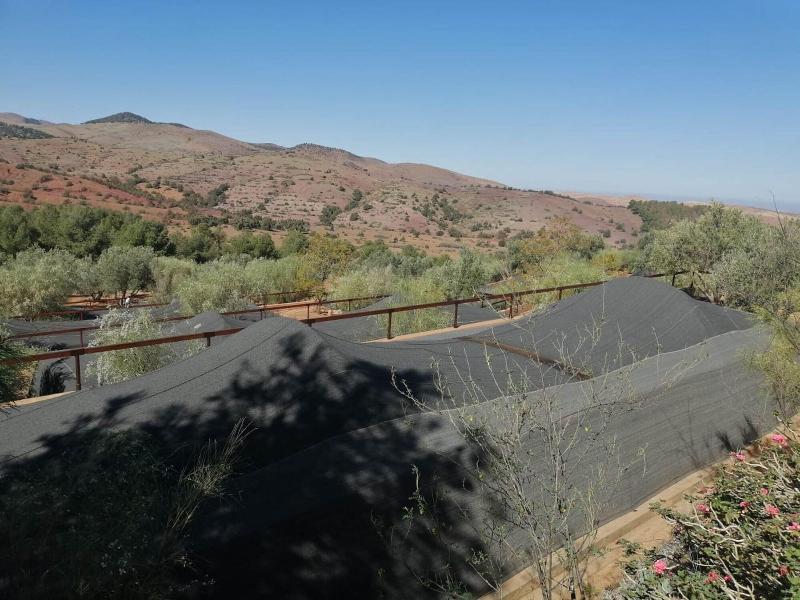 Le Domaine D Amanar image