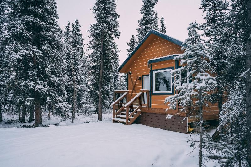 Denali Wild Stay