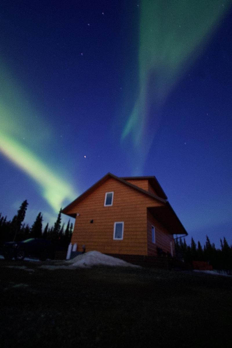 Denali Wild Stay