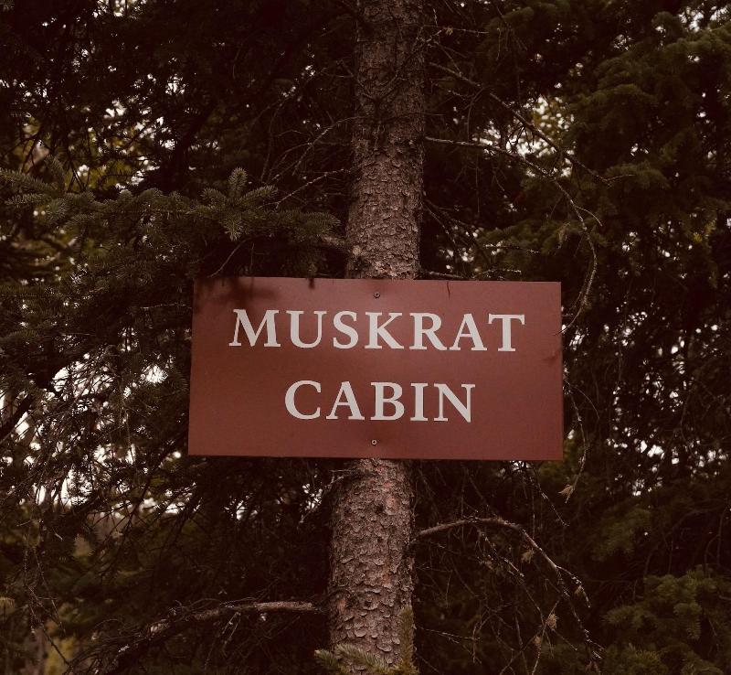 Denali Wild Stay