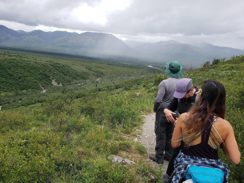 Denali Wild Stay
