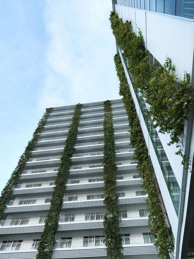 Bellevue Serviced Apartments image