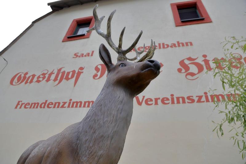 Pension Gasthof Und Hotel Roter Hirsch image