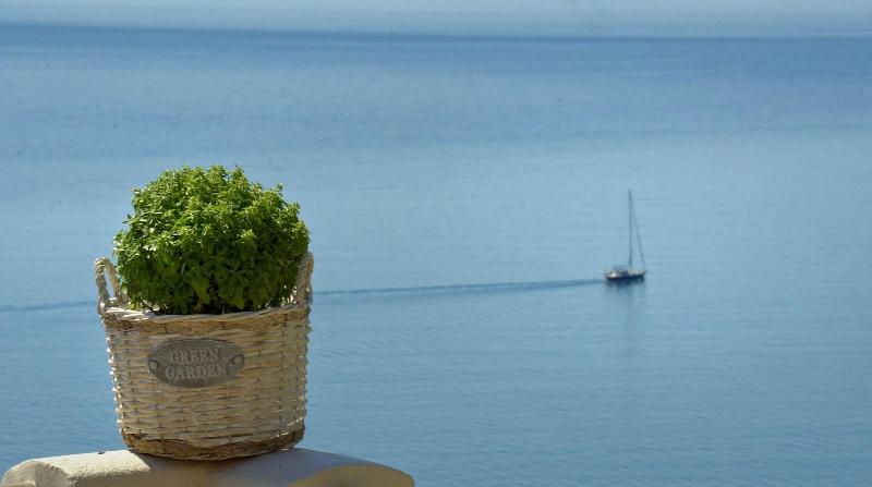 Blue Horizon Suites image