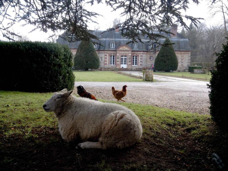 Chambres D Ha Tes La Bourbelle image