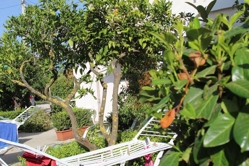 B B Country House Il Grappolo image
