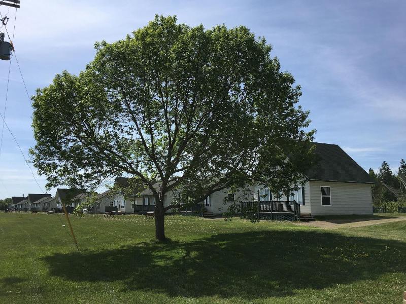 Heron S Nest Cottages image