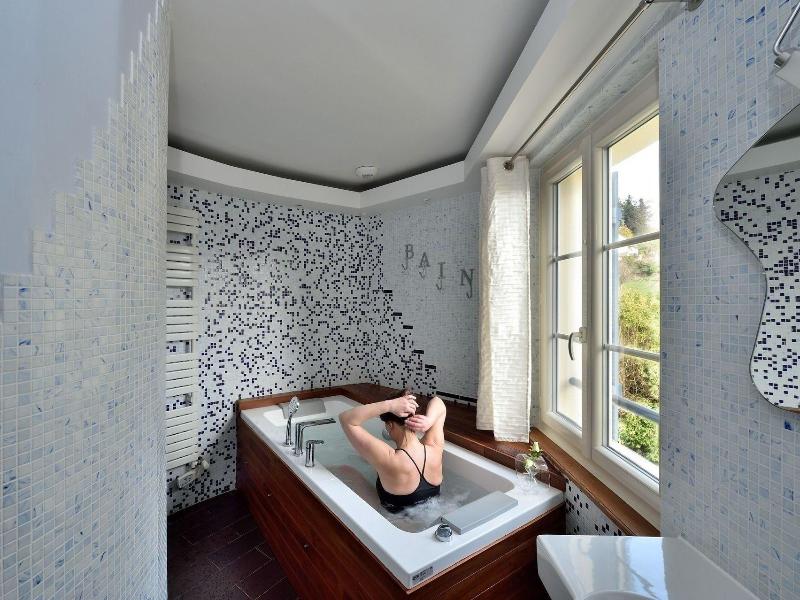 Chambres D Ha Tes Villa De Vienne En Arthies image