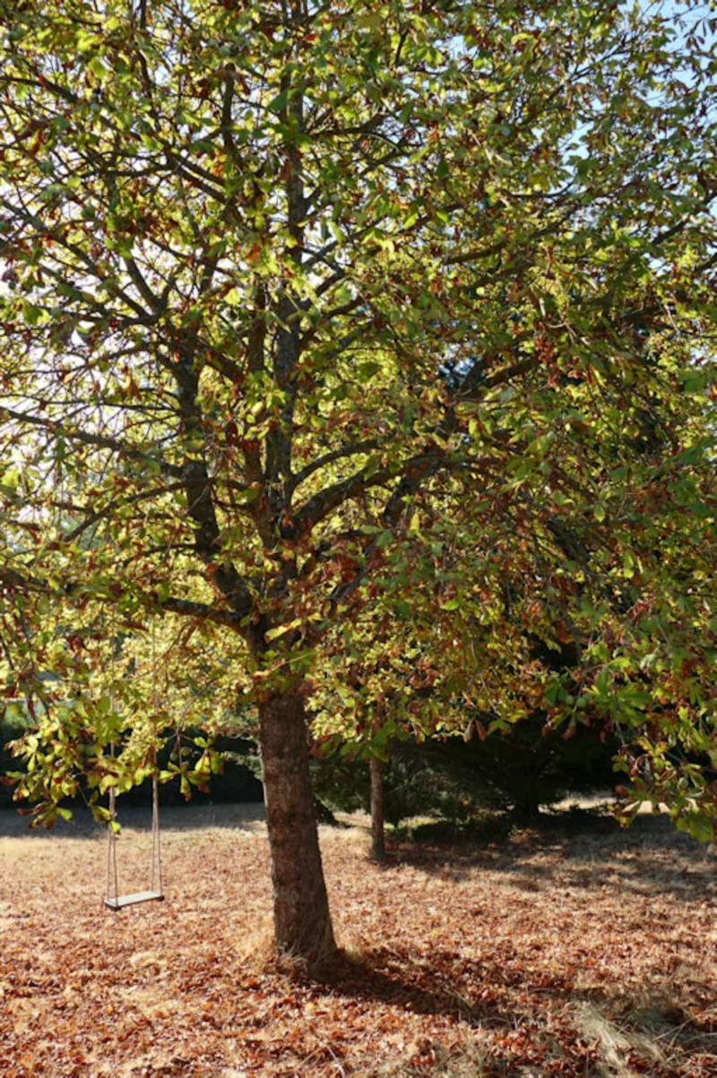 Chambres D Hotes A L Ombre Du Saule