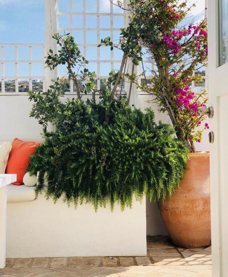 La Maison Kalogera image