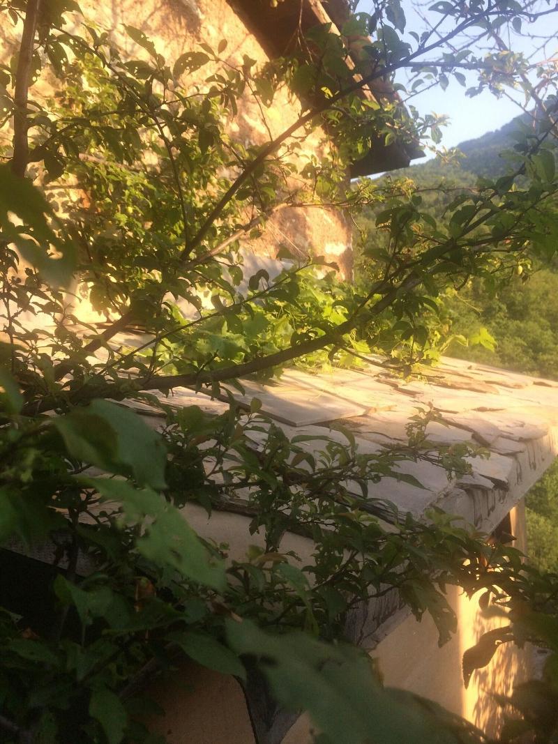 Baldo E Chicca Bed Breakfast image