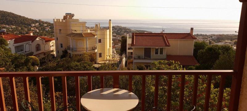 Viva B B
