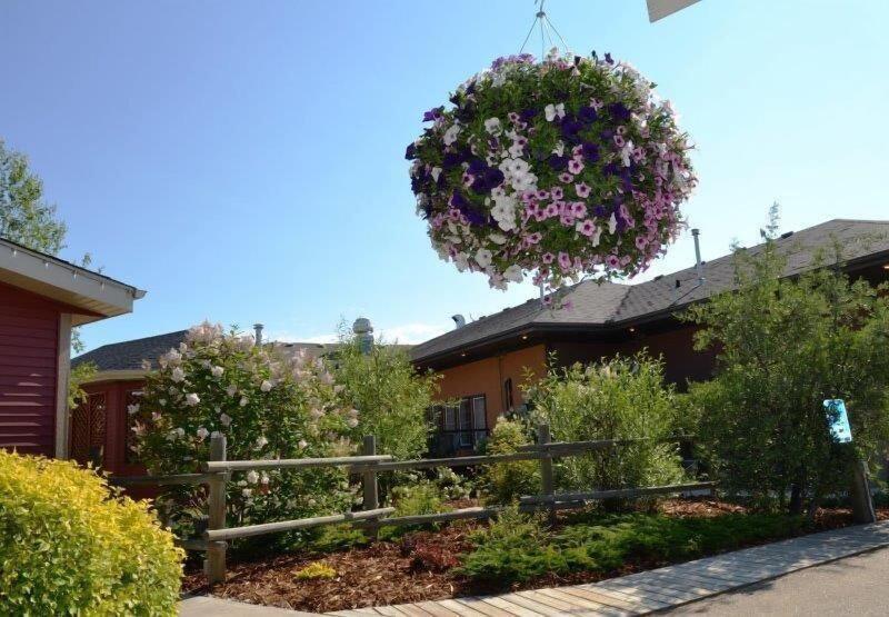 Village Creek Country Inn — general view