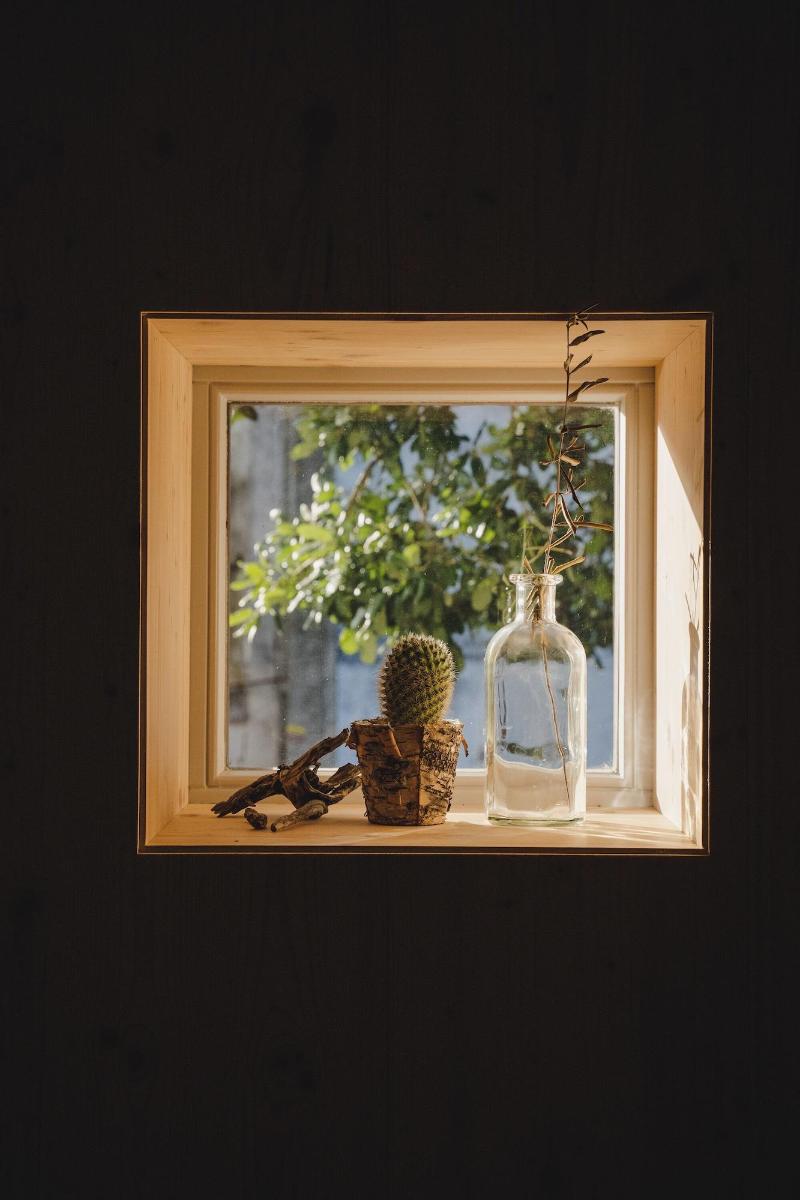 The Nest By Cooking And Nature image