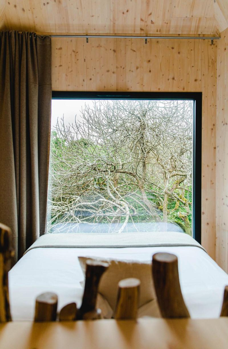 The Nest By Cooking And Nature image