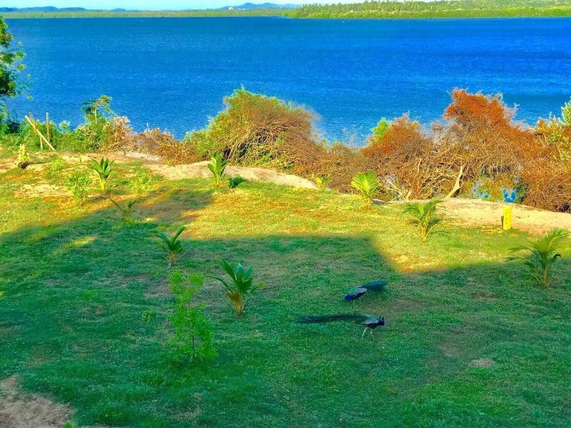 Ashansa Lagoon Resort image