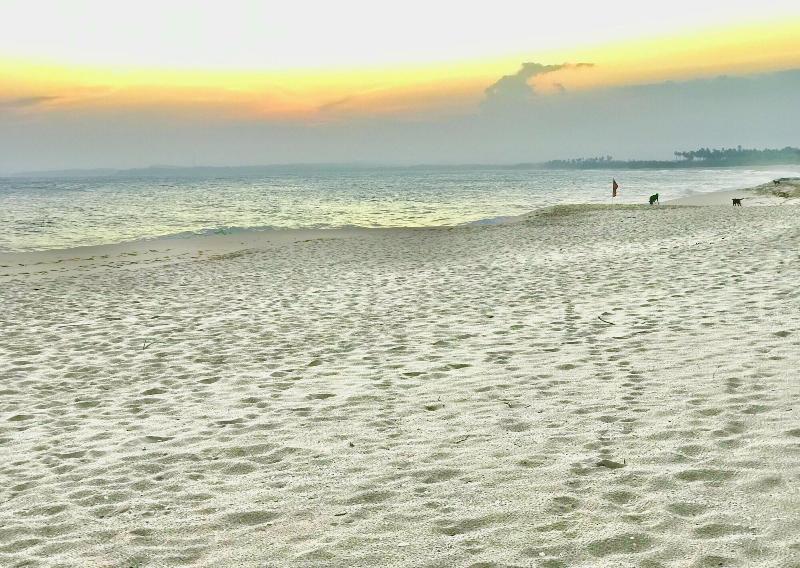 Ashansa Lagoon Resort image