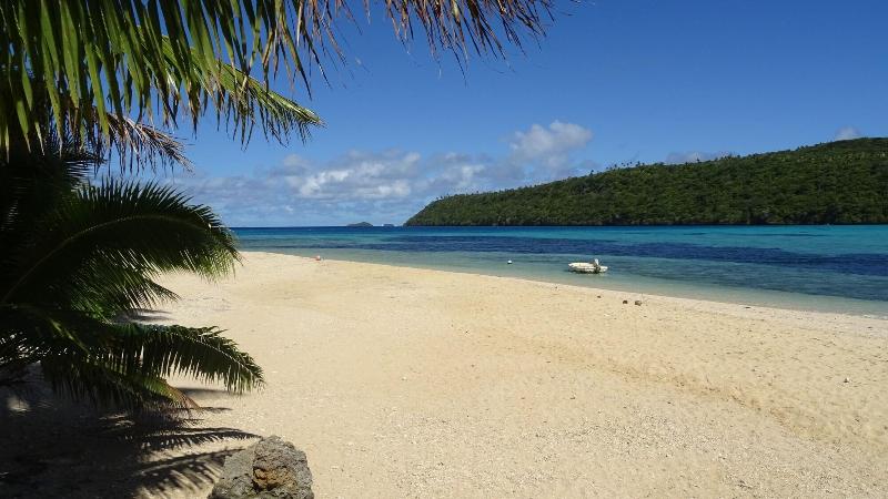 Mala Island Resort image