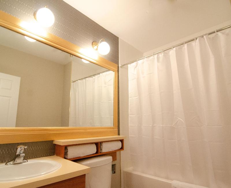 Hotel Dorion image