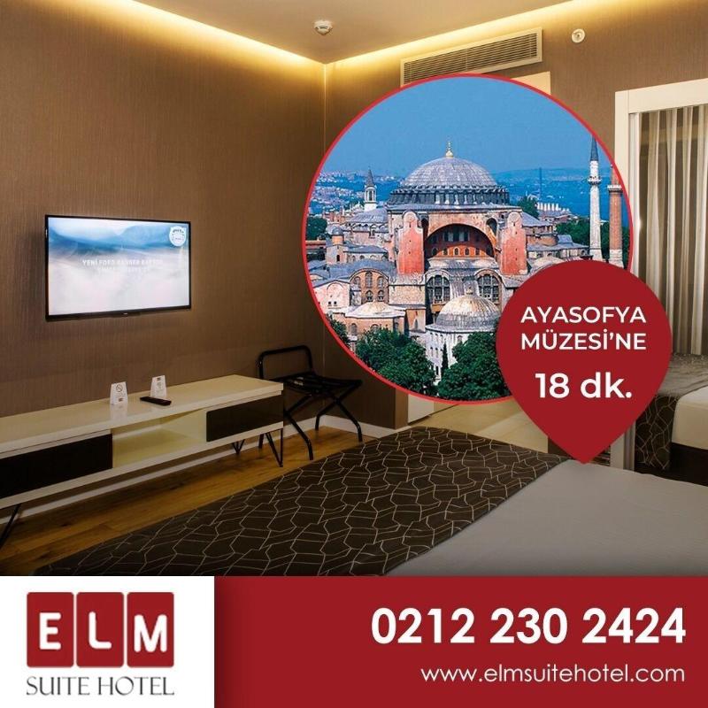 Elm Suite Hotel image