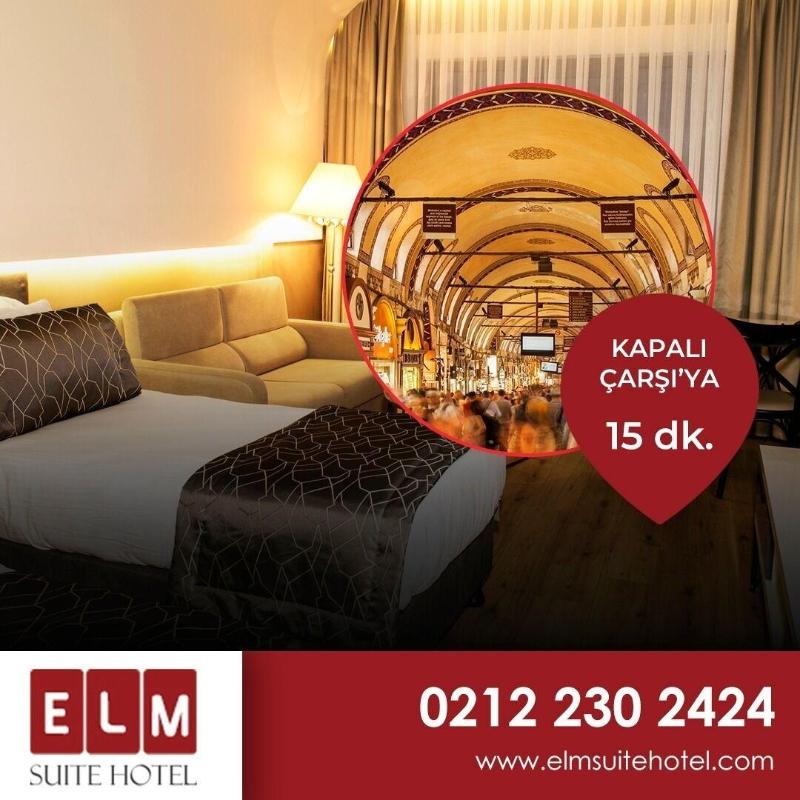 Elm Suite Hotel image
