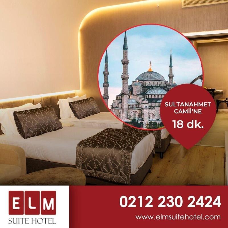 Elm Suite Hotel image