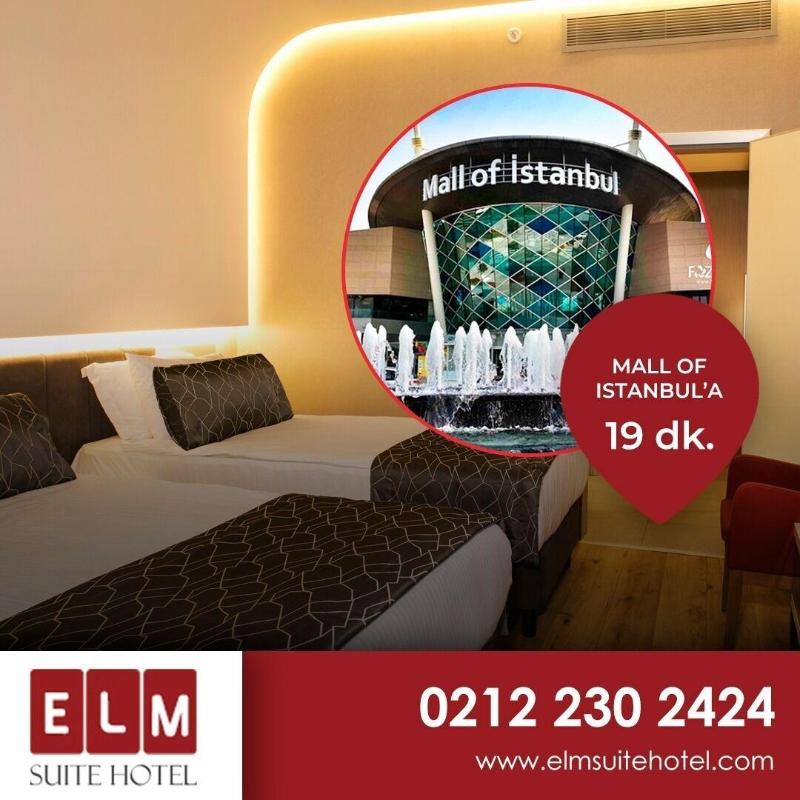 Elm Suite Hotel image