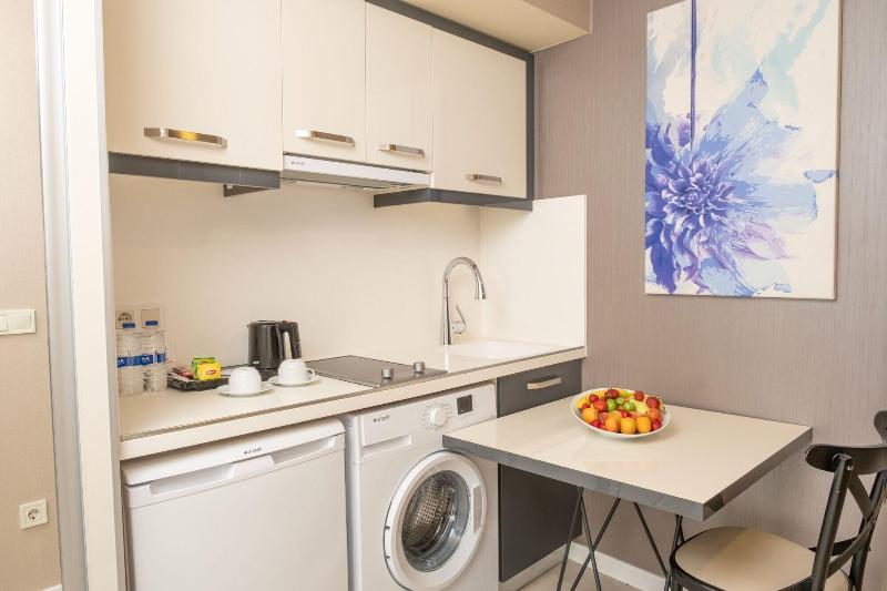 Elm Suite Hotel image