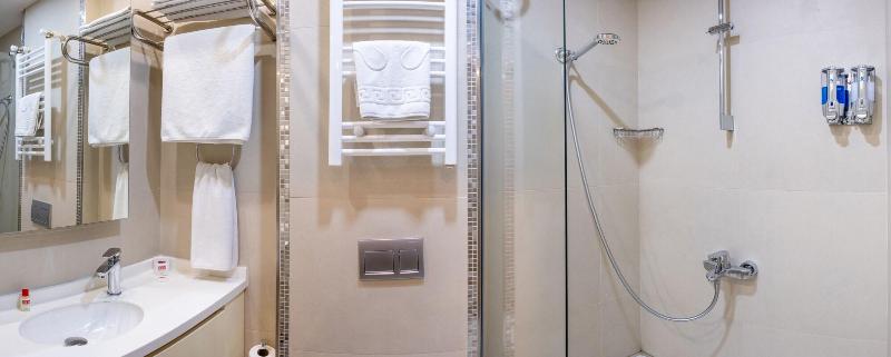 Elm Suite Hotel image