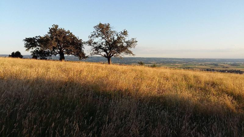 Au Dessus De Parady image