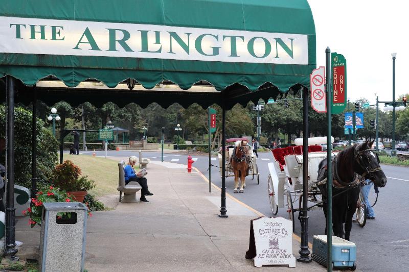 Arlington Resort Hotel And Spa image