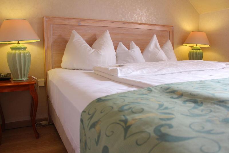 Hotel Am Ma Hlenteich image