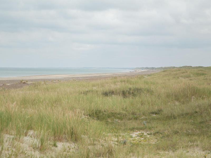 Ra Nnes Hotel image