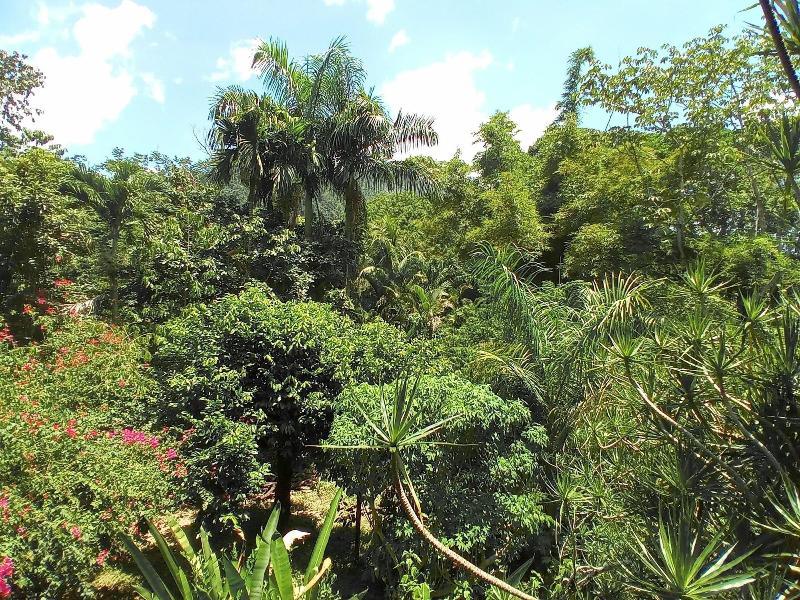 Omega Tours Adventure Company Eco Jungle Lodge image