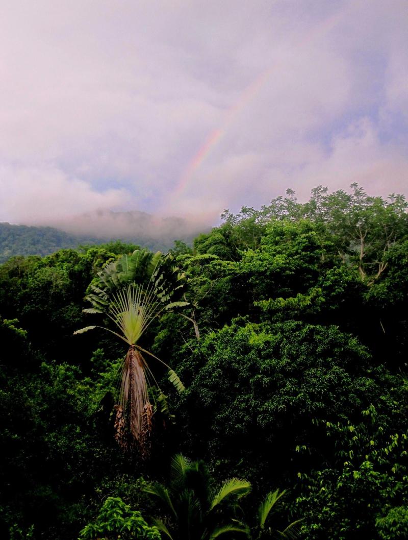 Omega Tours Adventure Company Eco Jungle Lodge image