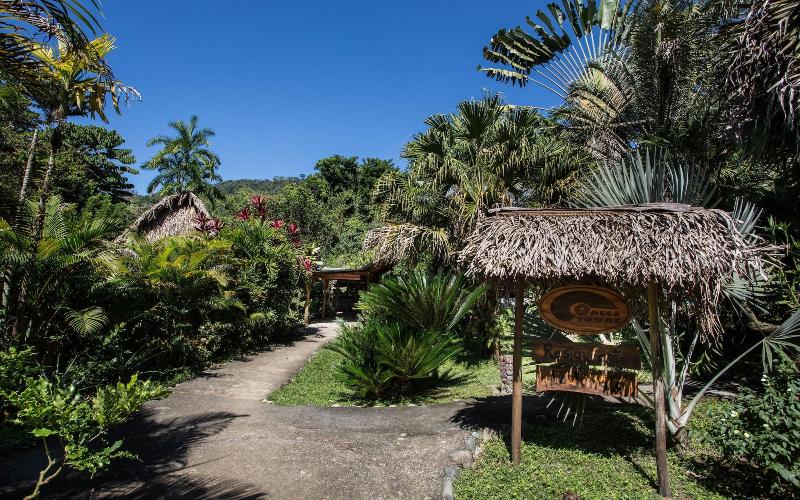 Omega Tours Adventure Company Eco Jungle Lodge image