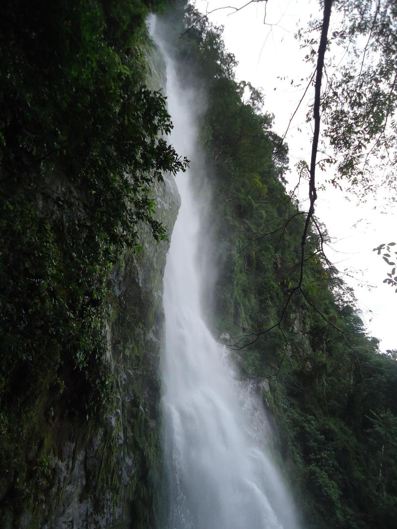 Omega Tours Adventure Company Eco Jungle Lodge image